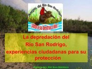 Amigos del Río San Rodrigo