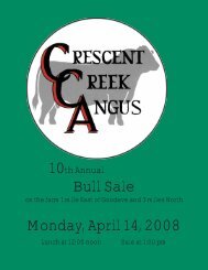Bull Sale Monday, April 14, 2008 - SaskLivestock