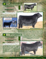 Pages 25-36 - SaskLivestock