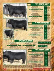 Lots 54-71 - SaskLivestock