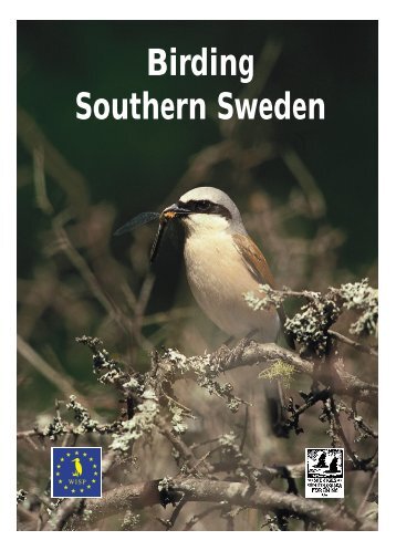 Birding Southern Sweden (large PDF file (5 MB) - TÃ¥kerns FÃ¤ltstation