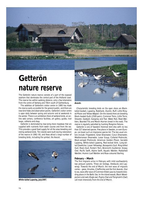 Birding Southern Sweden (large PDF file &#40;5 MB&#41; - TÃ¥kerns FÃ¤ltstation