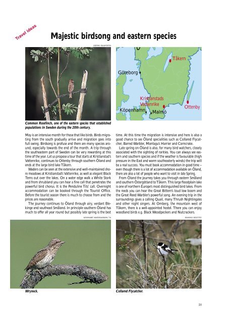 Birding Southern Sweden (large PDF file &#40;5 MB&#41; - TÃ¥kerns FÃ¤ltstation