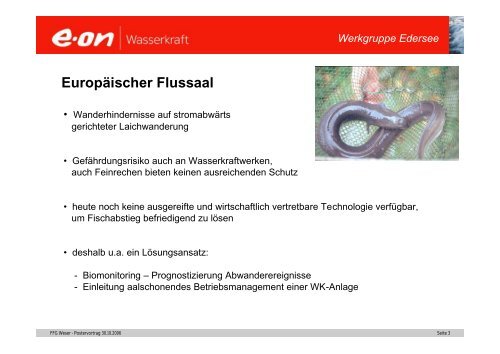 Erfahrungen mit dem aalschonenden ... - FGG Weser