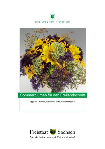 Sommerblumen für den Freilandschnitt - Landwirtschaft in Sachsen