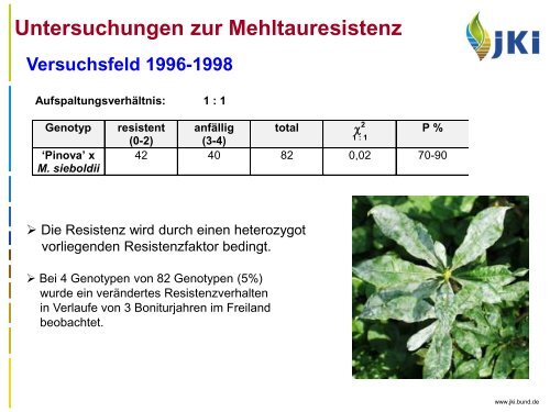 Selektierte Apfelklone - Landwirtschaft in Sachsen