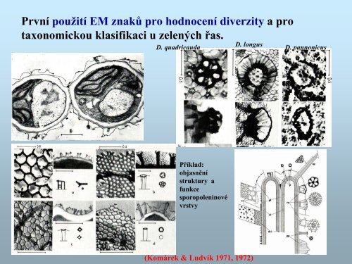 Botanický ústav AV ČR pracoviště Třeboň