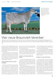Vier neue Braunvieh-Vererber - Südtiroler Braunviehzuchtverband