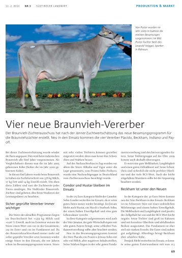 Vier neue Braunvieh-Vererber - Südtiroler Braunviehzuchtverband