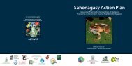 Sahonagasy Action Plan Conservation Programs for the Amphibians ...