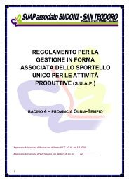 Regolamento S.U.A.P. 2010 - Comune di Budoni