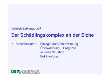 Der Schädlingskomplex an der Eiche - Bayerische Landesanstalt für ...