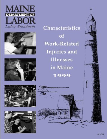 Characteristics of Work-Related Injuries and Illnesses in ... - Maine.gov