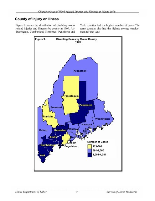 Characteristics of Work-Related Injuries and Illnesses in ... - Maine.gov