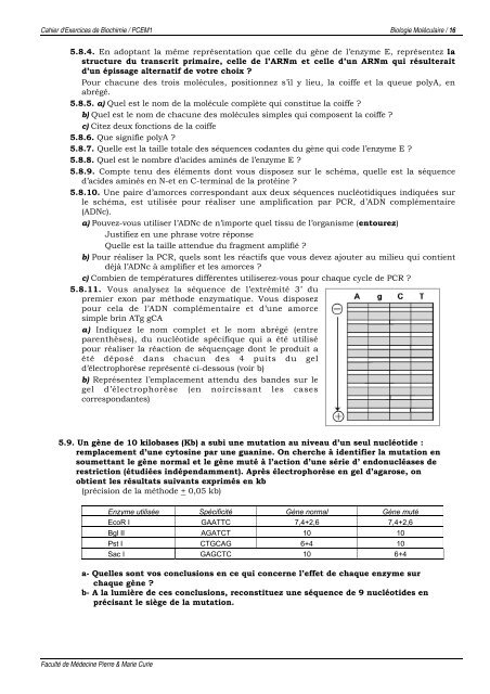 PCEM1 CAHIER D'EXERCICES de BIOCHIMIE 4. Biologie ...