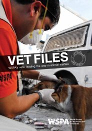 Vet Files - WSPA's Vets - Animal Mosaic