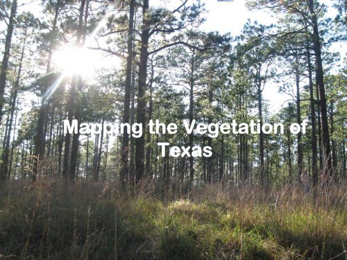 Mapping the Vegetation of Texas - GPS.gov