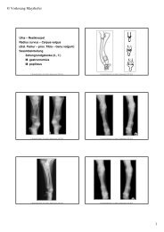 OD_HD_ED teil 2.pdf - Vet-roentgen.at