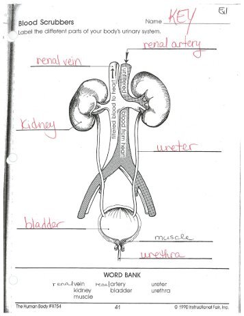 MMQDLW - Mrs. GM Biology 200