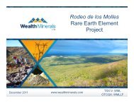 Rodeo de los Molles Rare Earth Element Project - Wealth Minerals ...