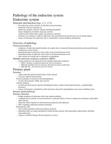 Pathology of the endocrine system Endocrine system