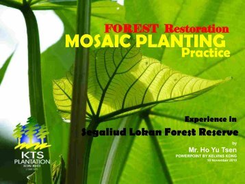 Mosaic Planting Area