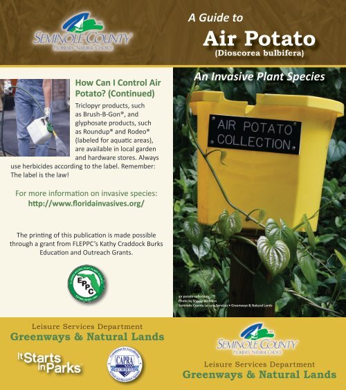 Air Potato Brochure - Florida Exotic Pest Plant Council