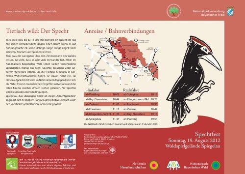 Faltblatt Spechfest mit Programm - Nationalpark Bayerischer Wald