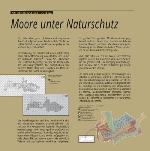 Naturschutzgebiet Todtenau und umgebende Auen