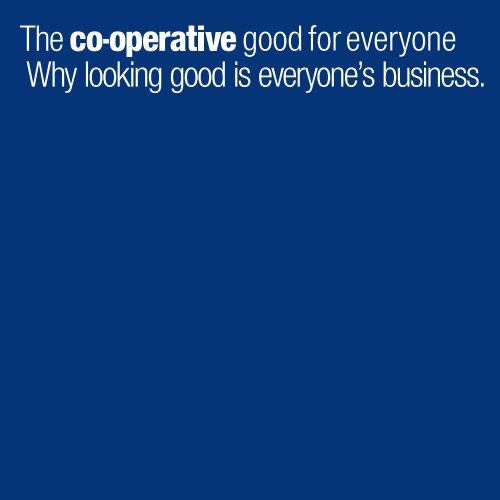 Visual Identity Standards Booklet PDF - The Co-operative