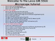Leica DM 5500 tutorial.pdf - EPFL