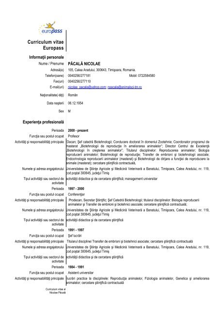 Curriculum vitae Europass