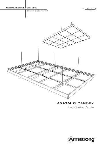 Axiom C Canopy - Armstrong