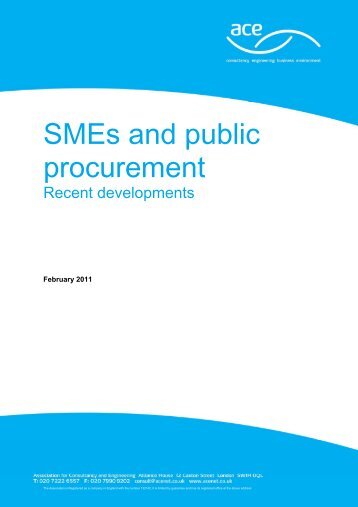 SMEs and public procurement