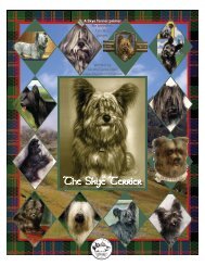 The Skye Terrier - National Breed Clubs - American Kennel Club