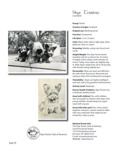 The Skye Terrier - National Breed Clubs - American Kennel Club