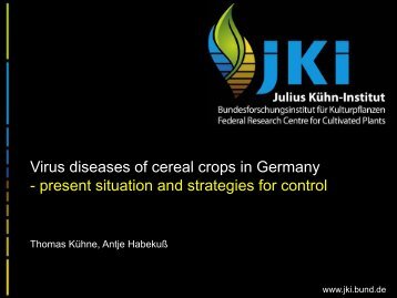 Virus diseases of cereal crops in Germany
