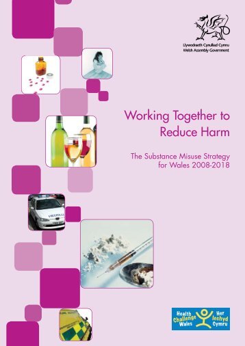 Working together to reduce harm - the substance misuse strategy for ...