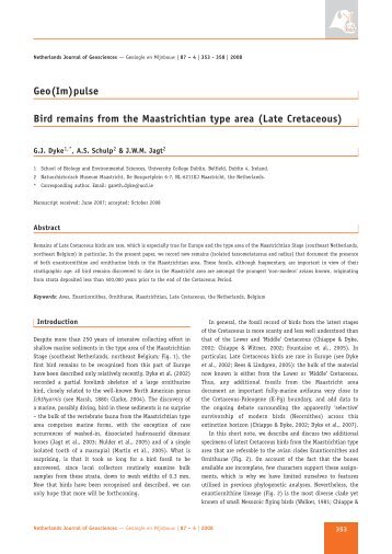 Geo(Im)pulse Bird remains from the Maastrichtian type area (Late ...