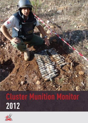 Download PDF - Landmine and Cluster Munition Monitor