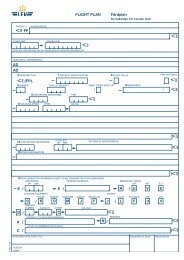 Flight Plan