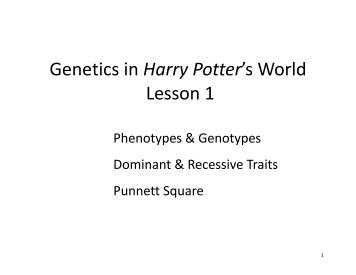 Genetics in Harry Potter's World Lesson 1