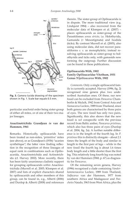 Opilioacarus aenigmus Dunlop, Sempf  & Wunderlich