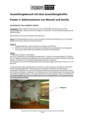 Museumskoffer Evolution Posten 1 - Naturhistorisches Museum