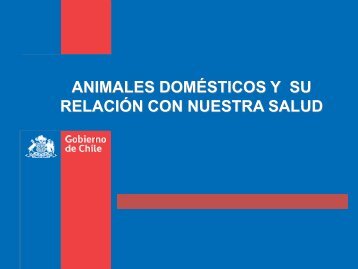 Rabia y riesgos de la poblaciÃ³n canina - SEREMI de Salud RegiÃ³n ...