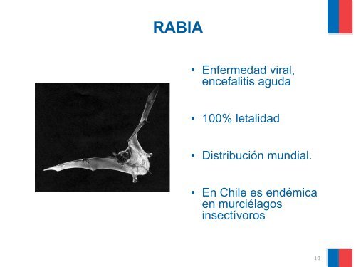 Rabia y riesgos de la poblaciÃ³n canina - SEREMI de Salud RegiÃ³n ...