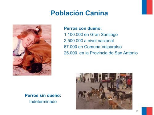 Rabia y riesgos de la poblaciÃ³n canina - SEREMI de Salud RegiÃ³n ...