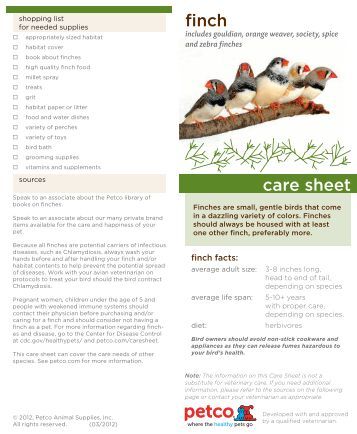 petco daycare russian tortoise care sheet petco petco daycare russian tortoise care sheet petco
