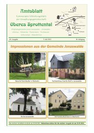 Amtsblatt Oberes Sprottental vom Juli 2012 - in Nöbdenitz!