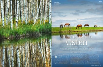 Durch den wilden Osten - Wisent Reisen